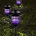 Solar Light